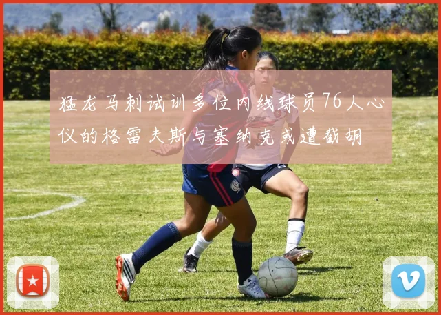 猛龙马刺试训多位内线球员76人心仪的格雷夫斯与塞纳克或遭截胡